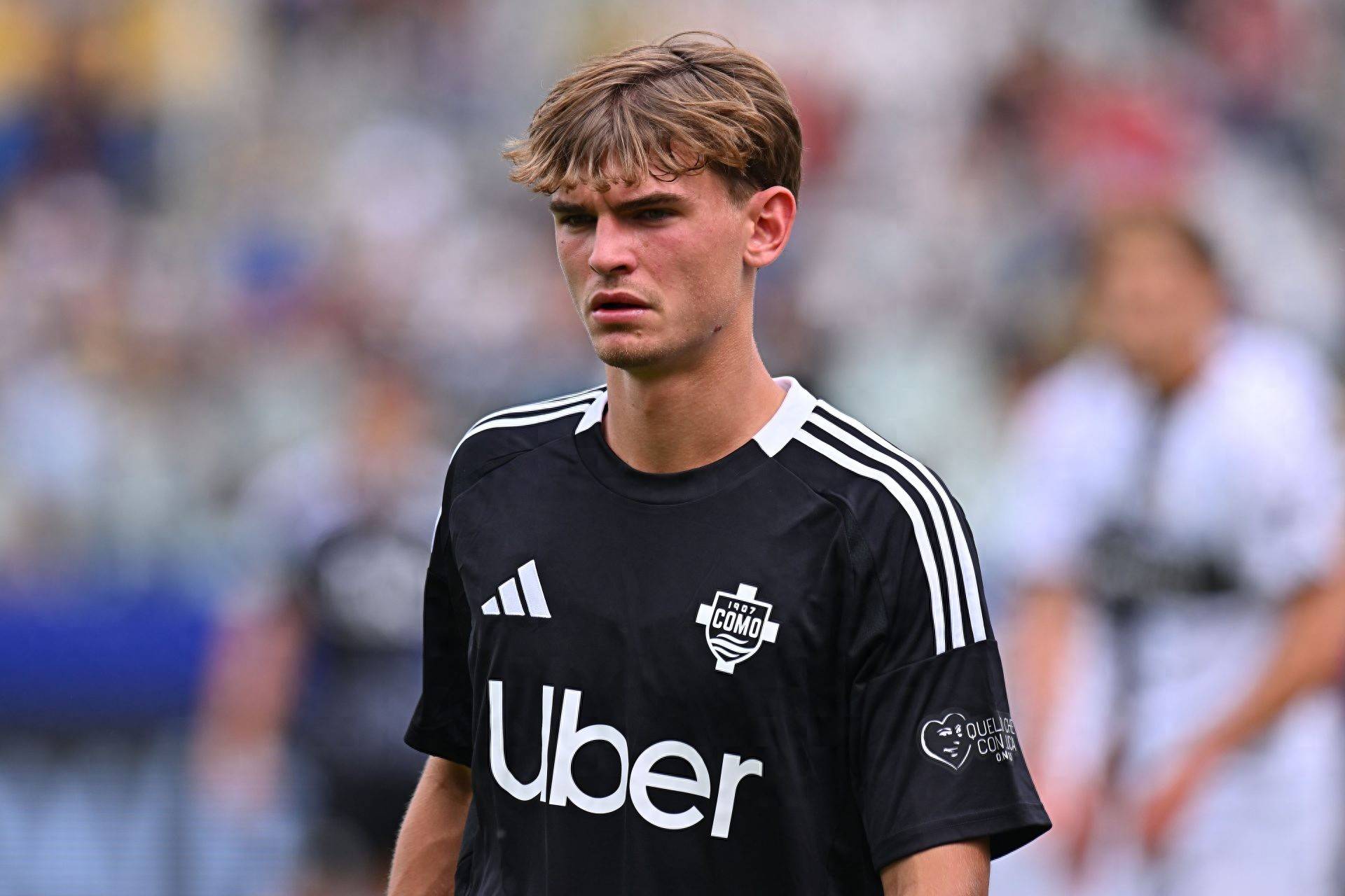 这也将极大 这也将极大