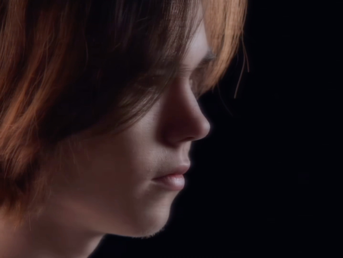 价高昂的冲 价高昂的冲