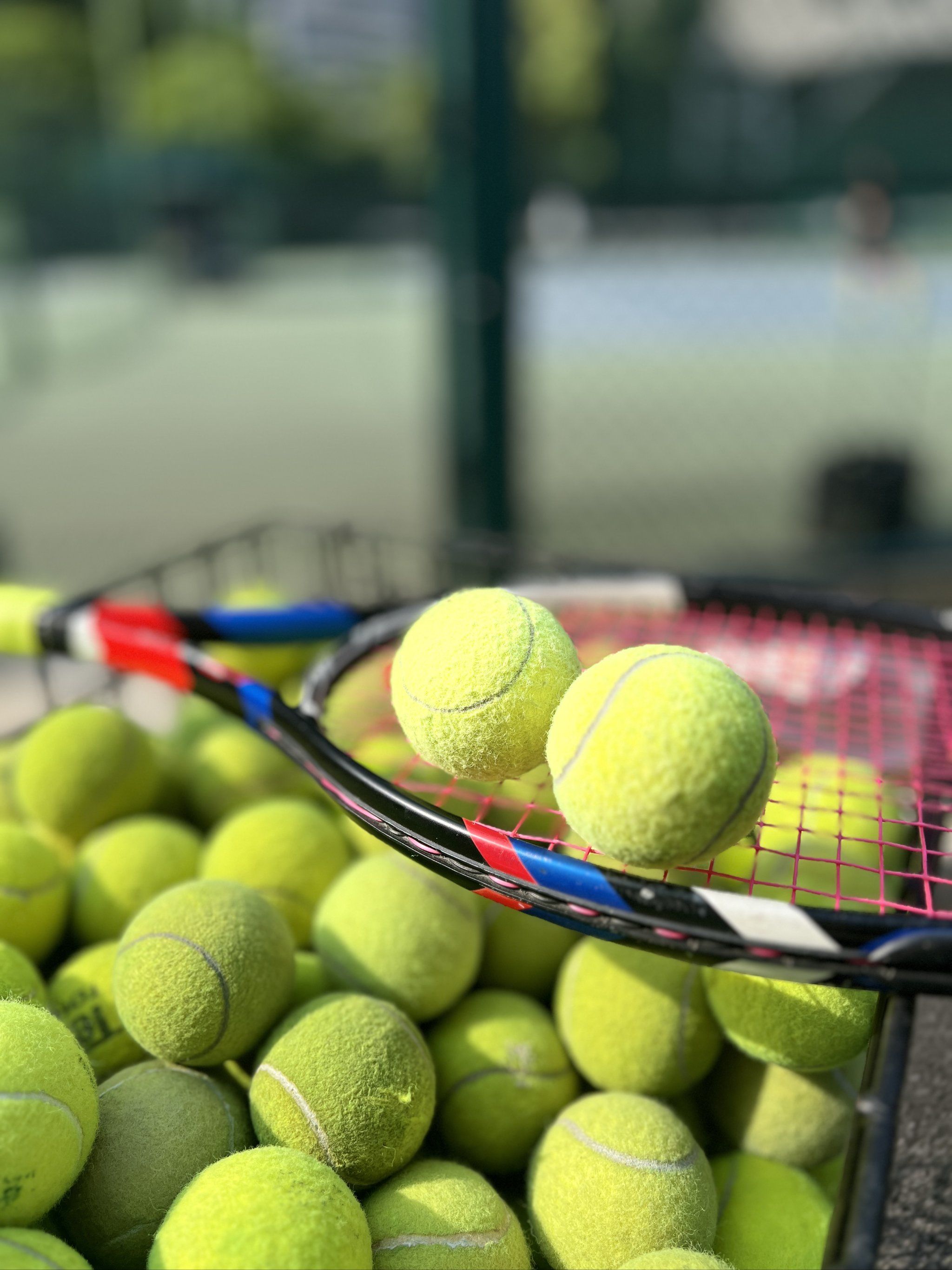 总的趋势是 总的趋势是