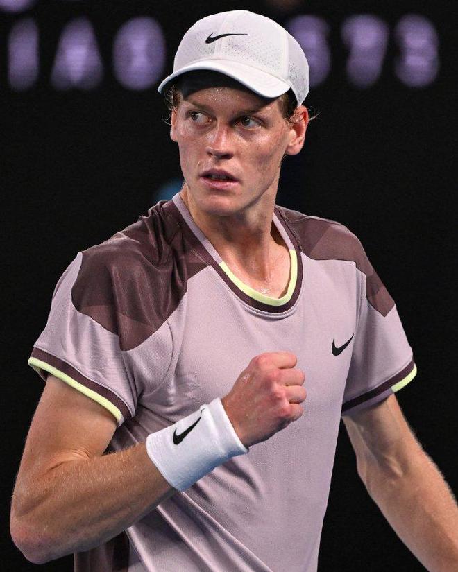 然嵌入评述 然嵌入评述